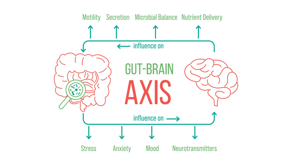 Gut-brain axis