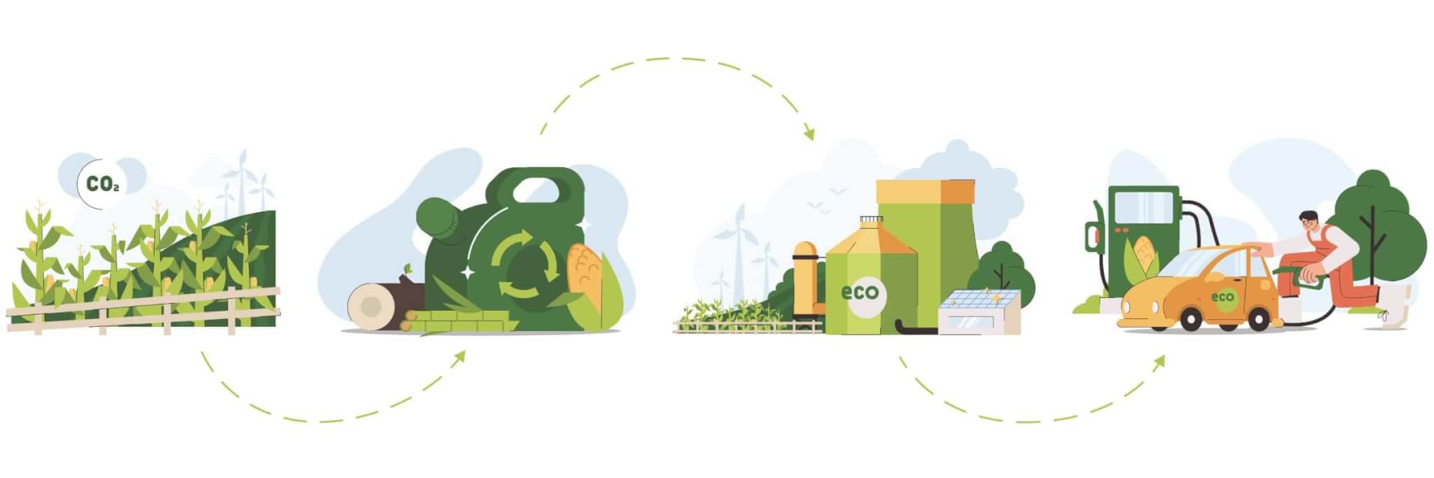 biodiesel steps