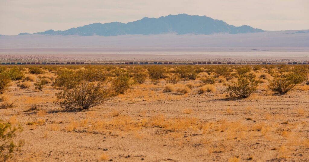 Mojave desert banner