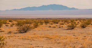 Mojave desert banner