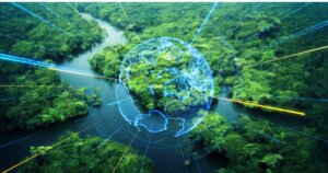 Tropical dense forest and environmental technology