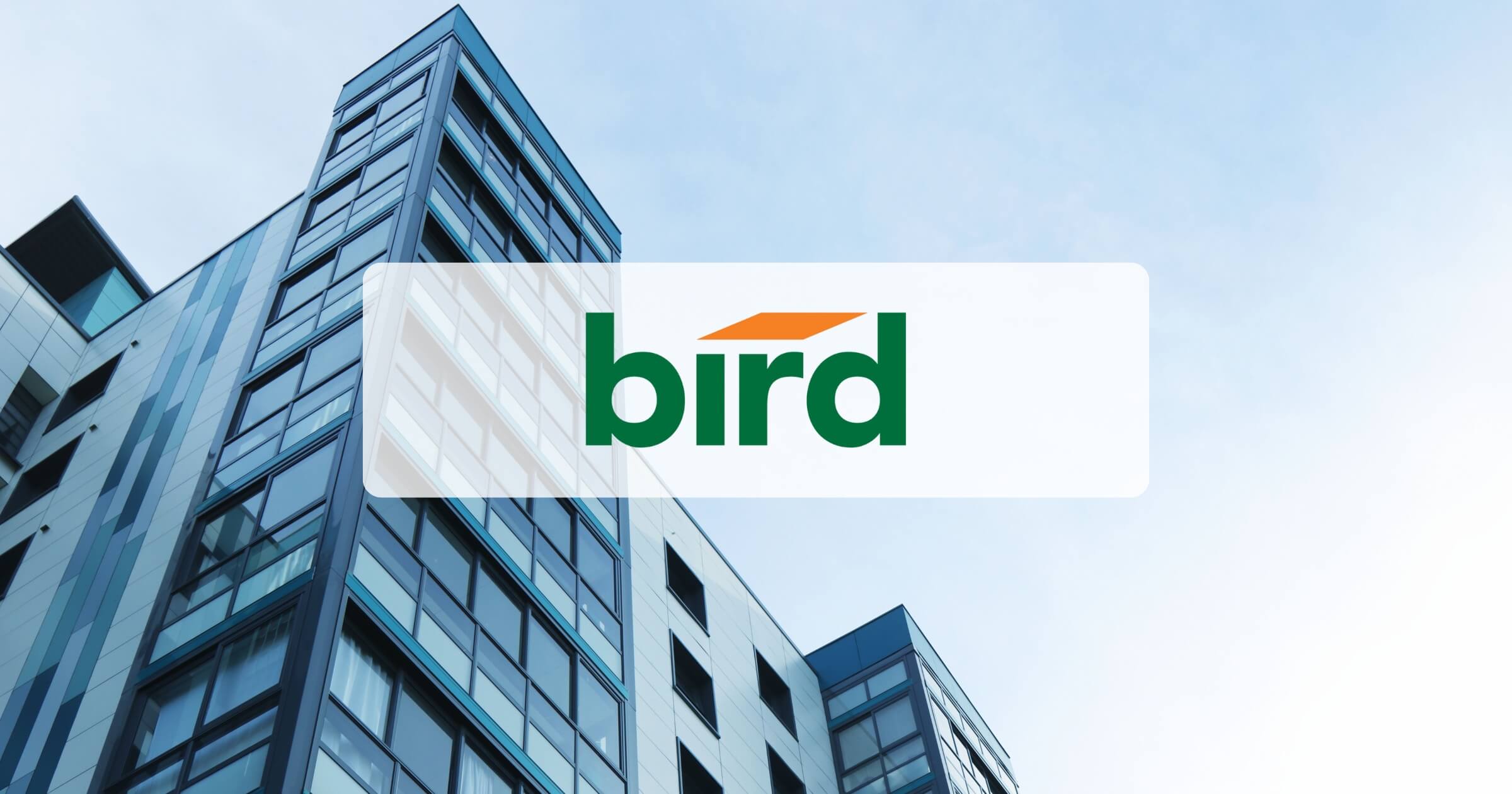 bird banner