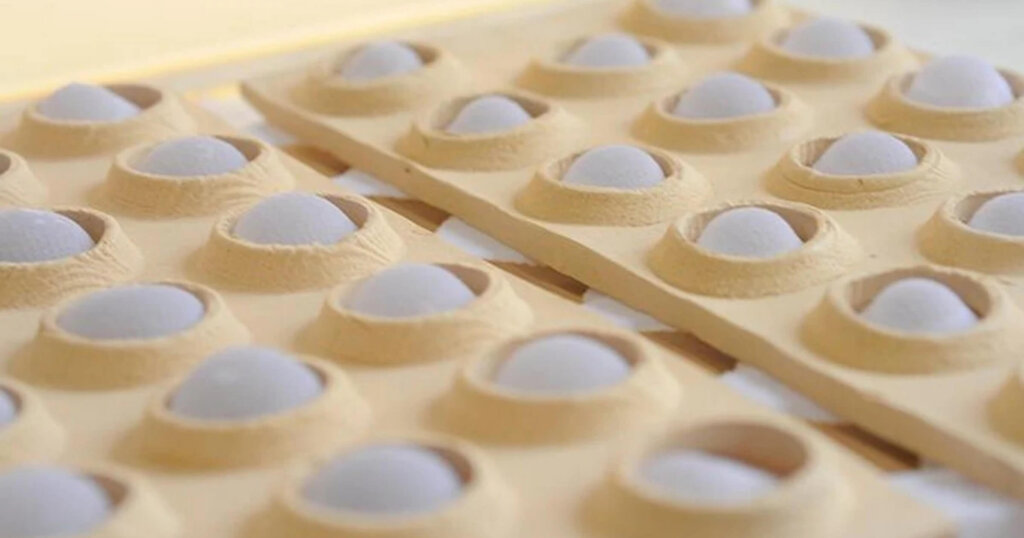  Hydroceramic bricks