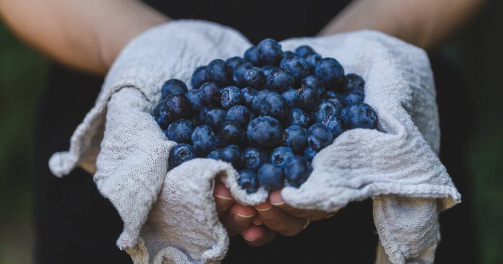 blueberries in a cloth being held up.