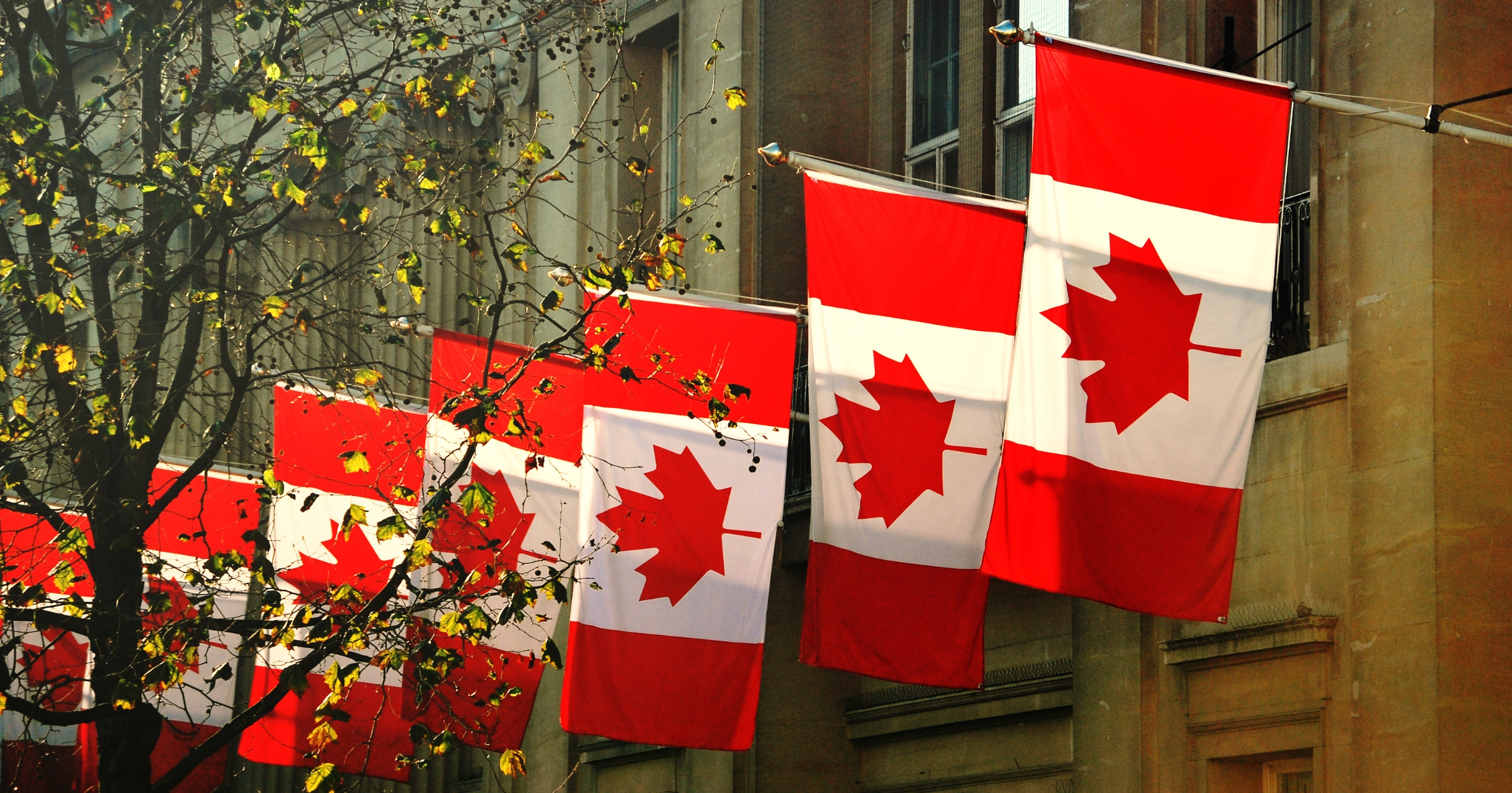 a row of Canadian flags outside Canada House in Trafalgar Square, London