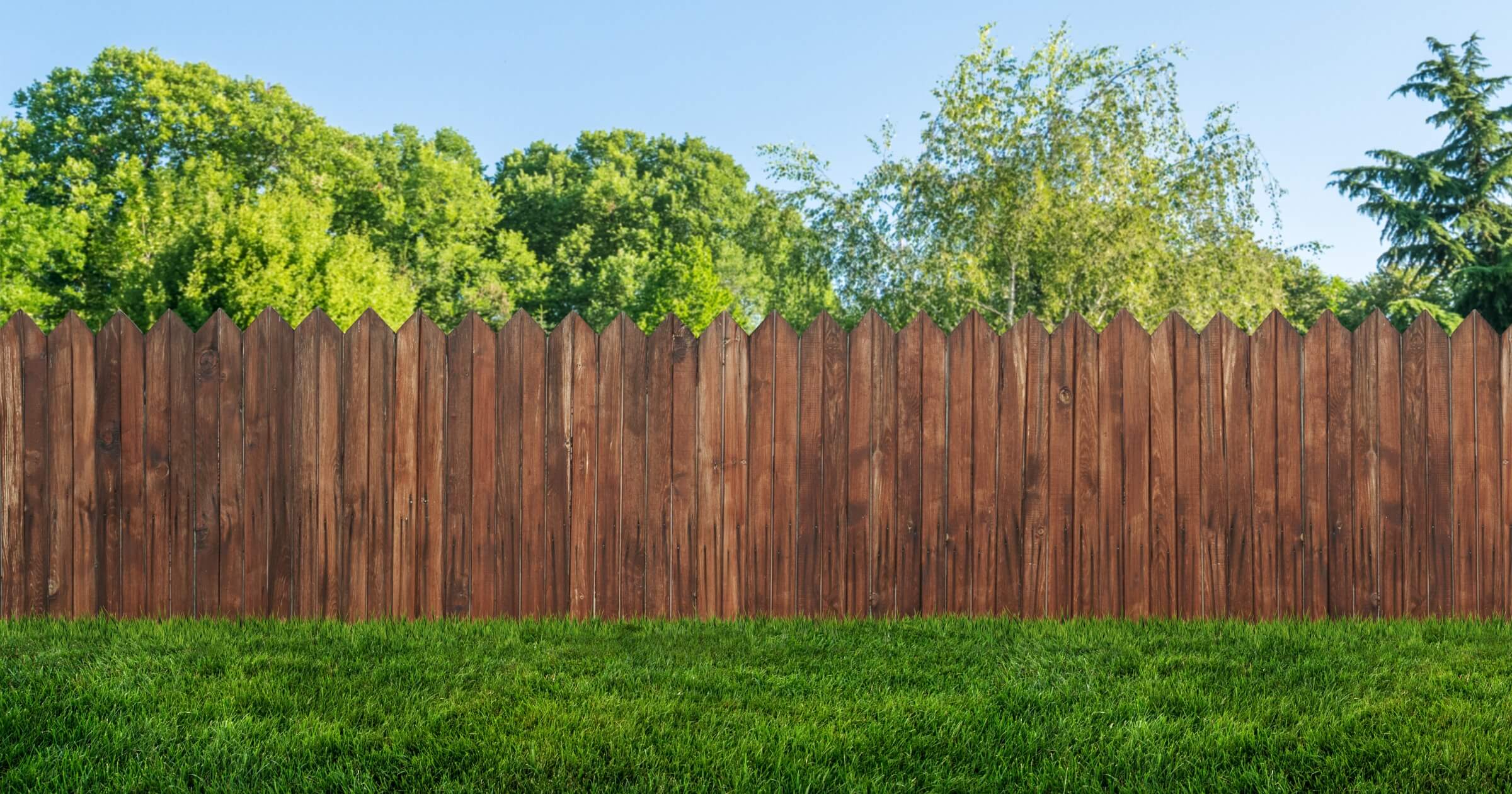 backyard fence